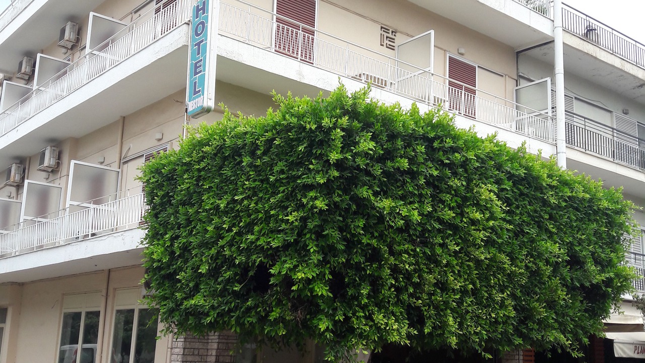 Photo of Outdoor in Zakharo