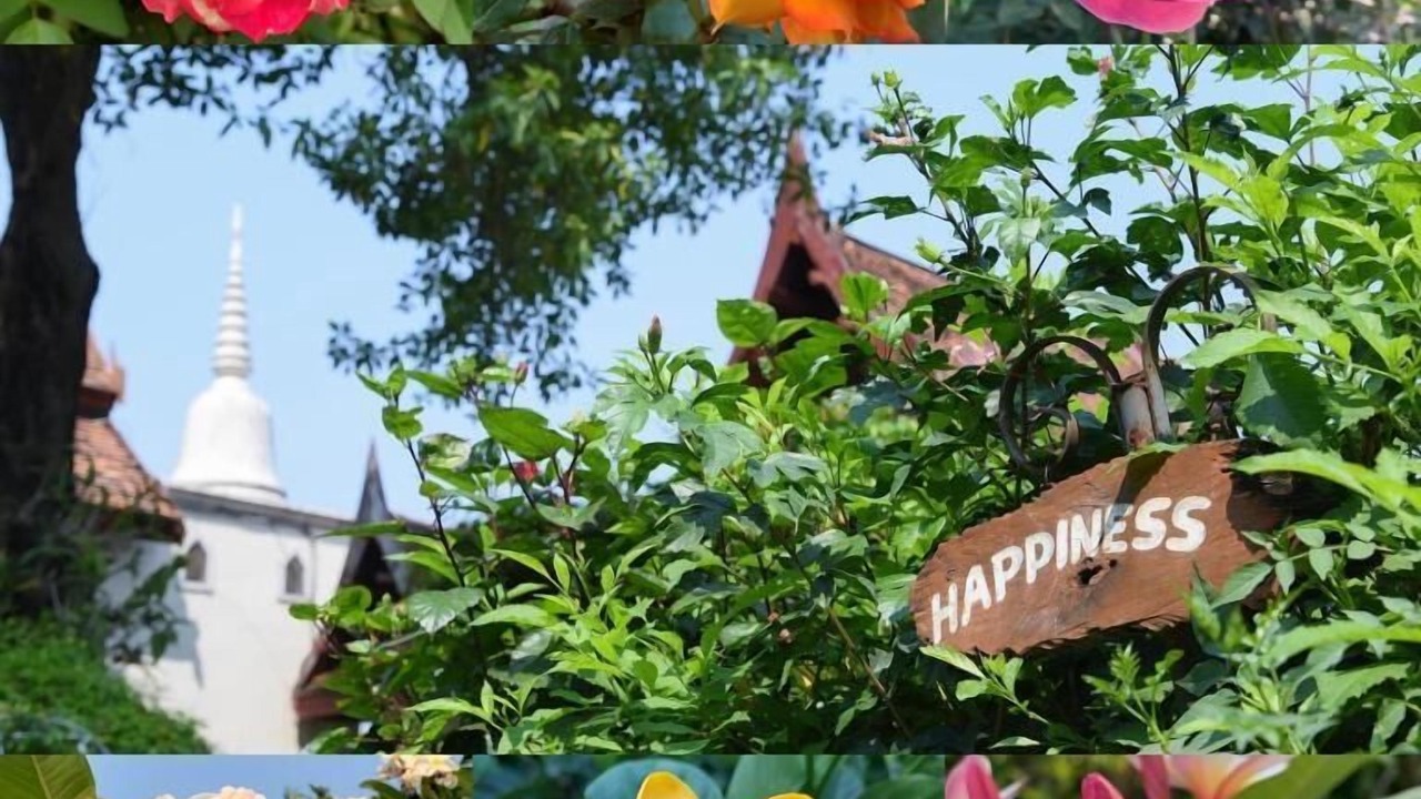 Photo of Outdoor in Bang Krasan