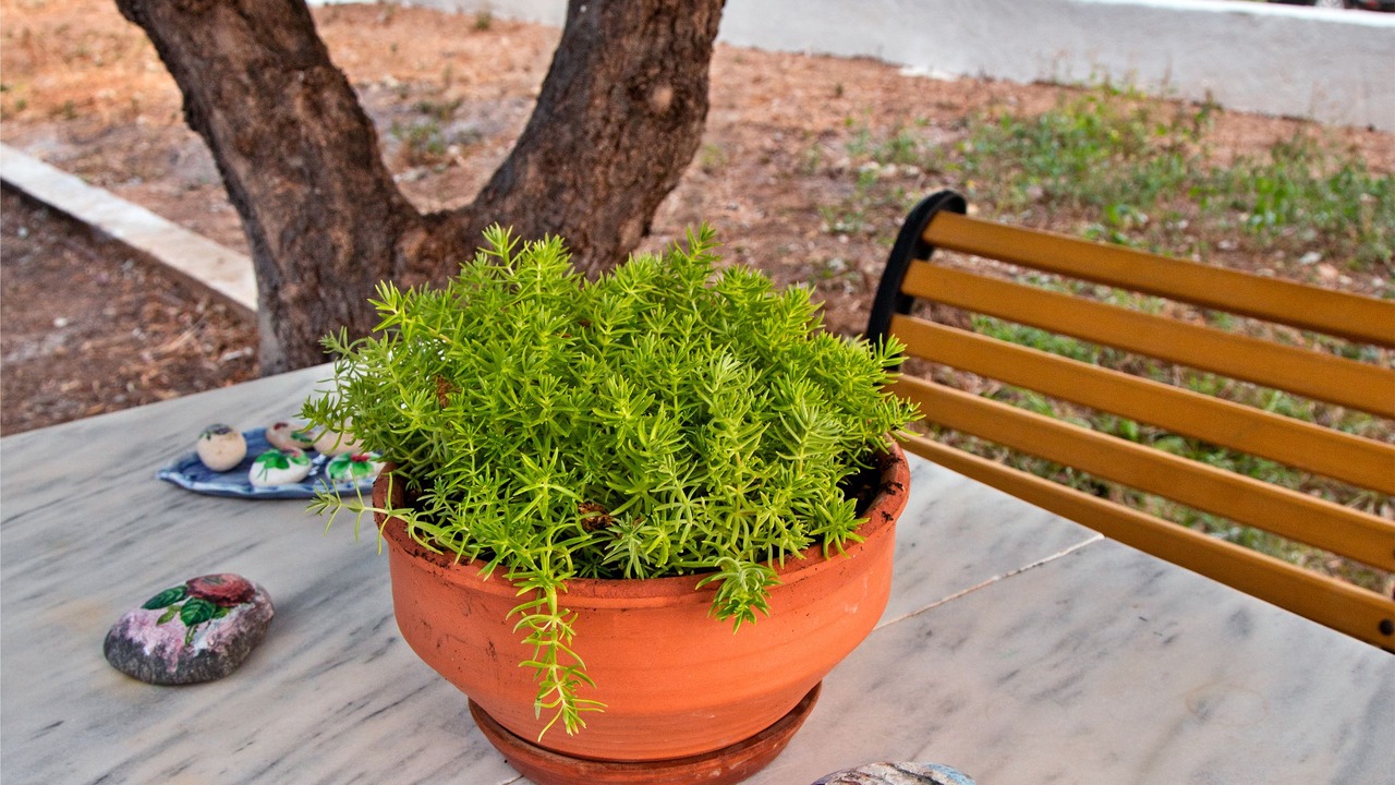 Photo of Outdoor in Ferma