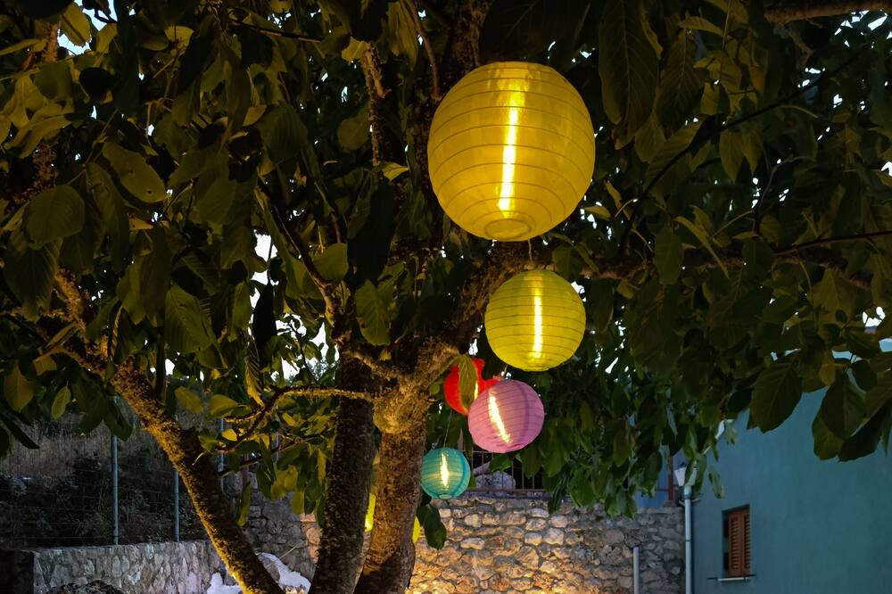 Photo of Outdoor in Patrikata