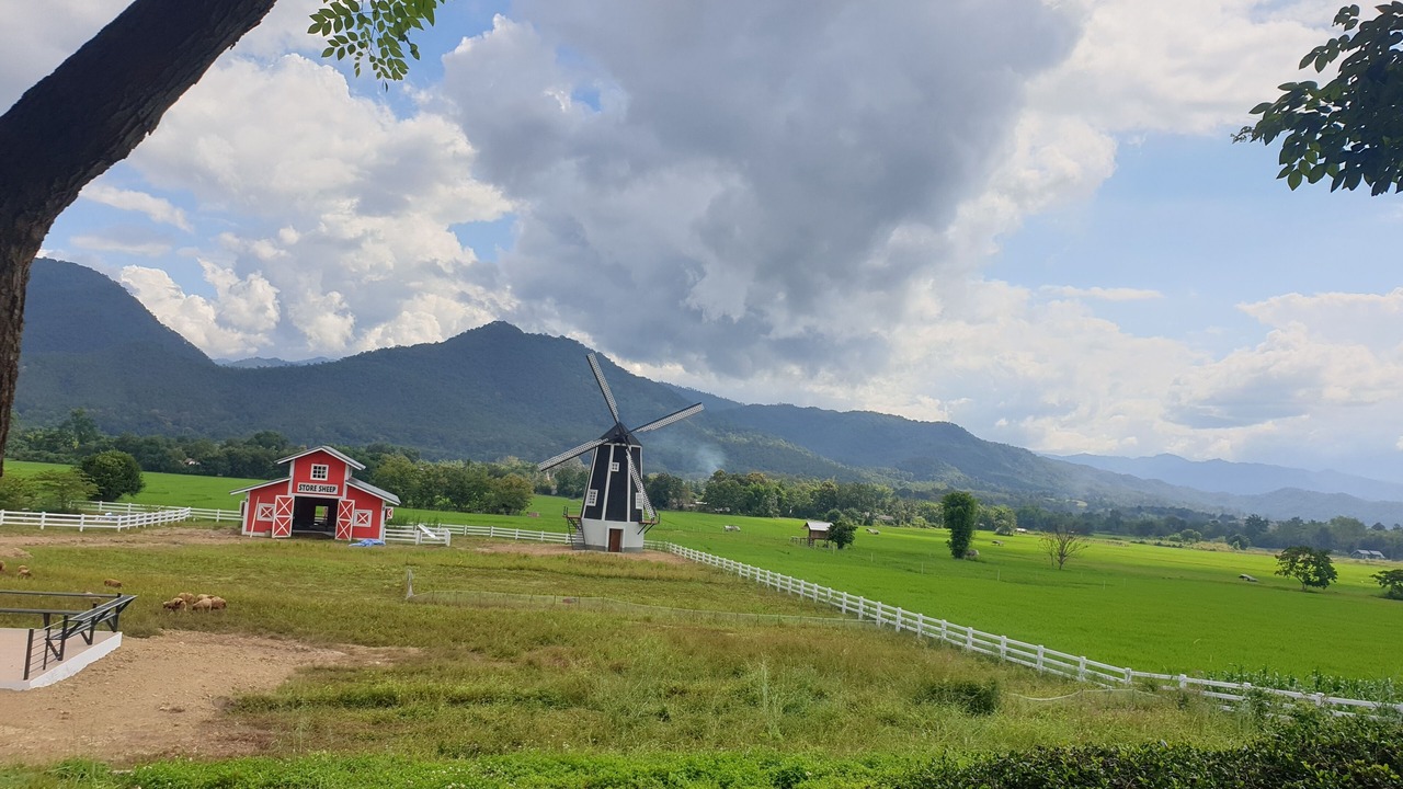 Photo of Others in Pai