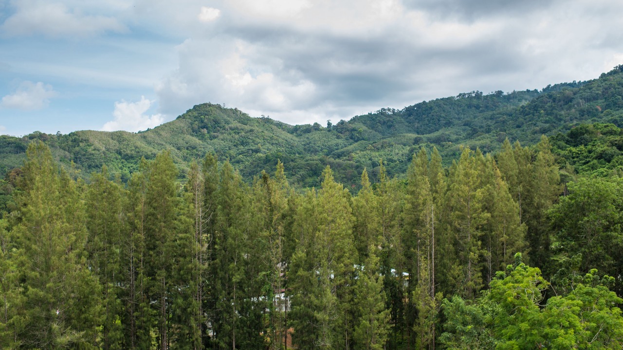 Photo of Outdoor in Cherngtalay