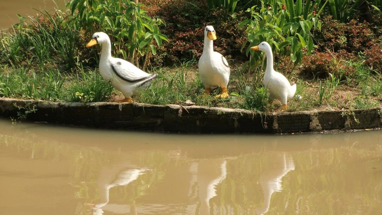 Photo of Outdoor in Mueang Ngai