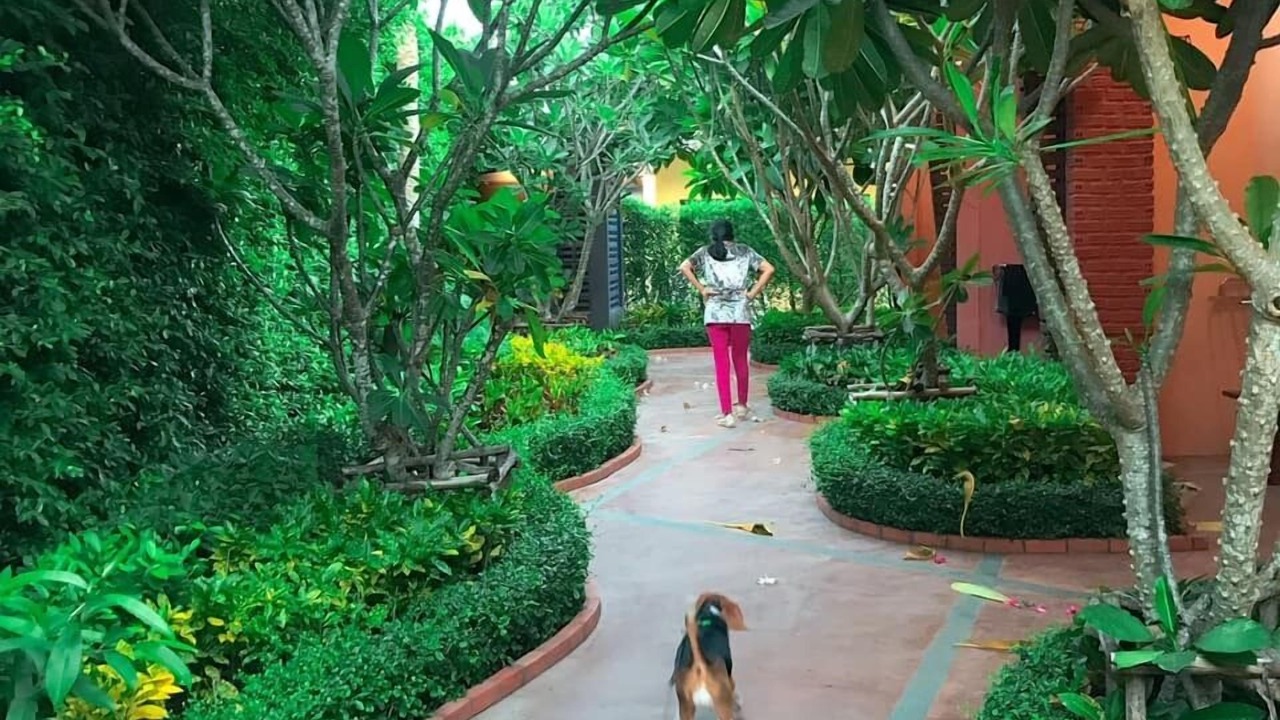 Photo of Outdoor in Hua Hin