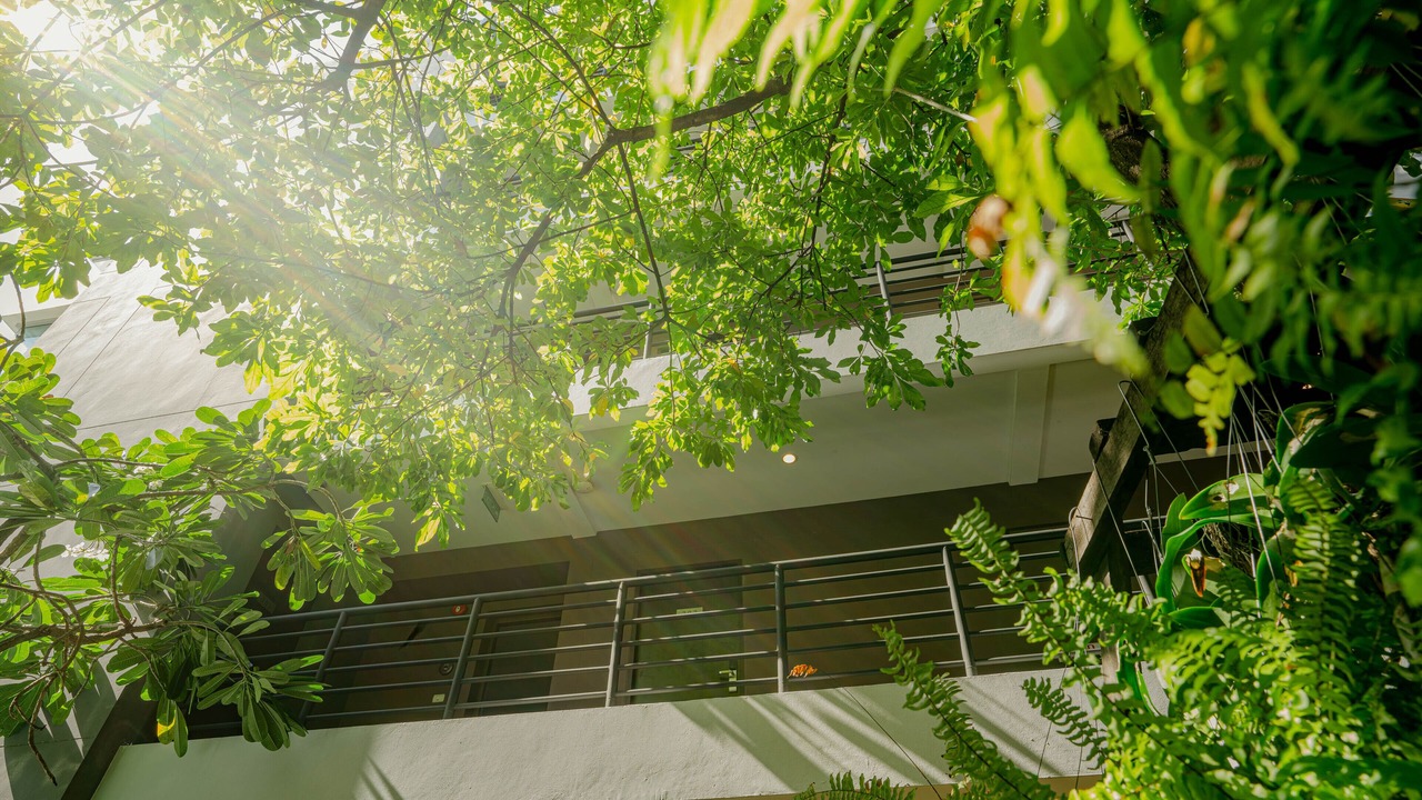 Photo of Outdoor in Ban Phan Thom
