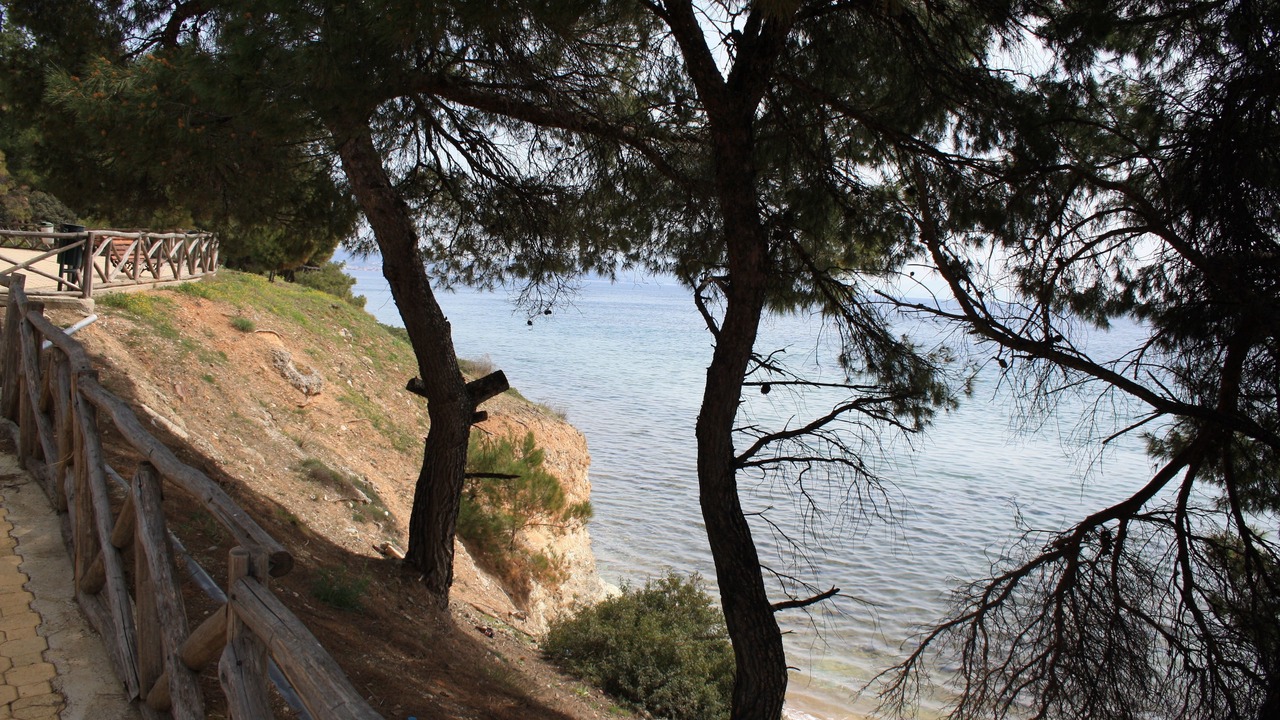 Photo of Others in Metamorfosi