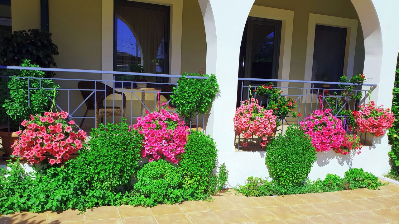 Photo of Outdoor in Alexandros