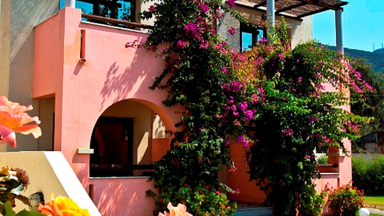 Photo of Others in Skopelos Town