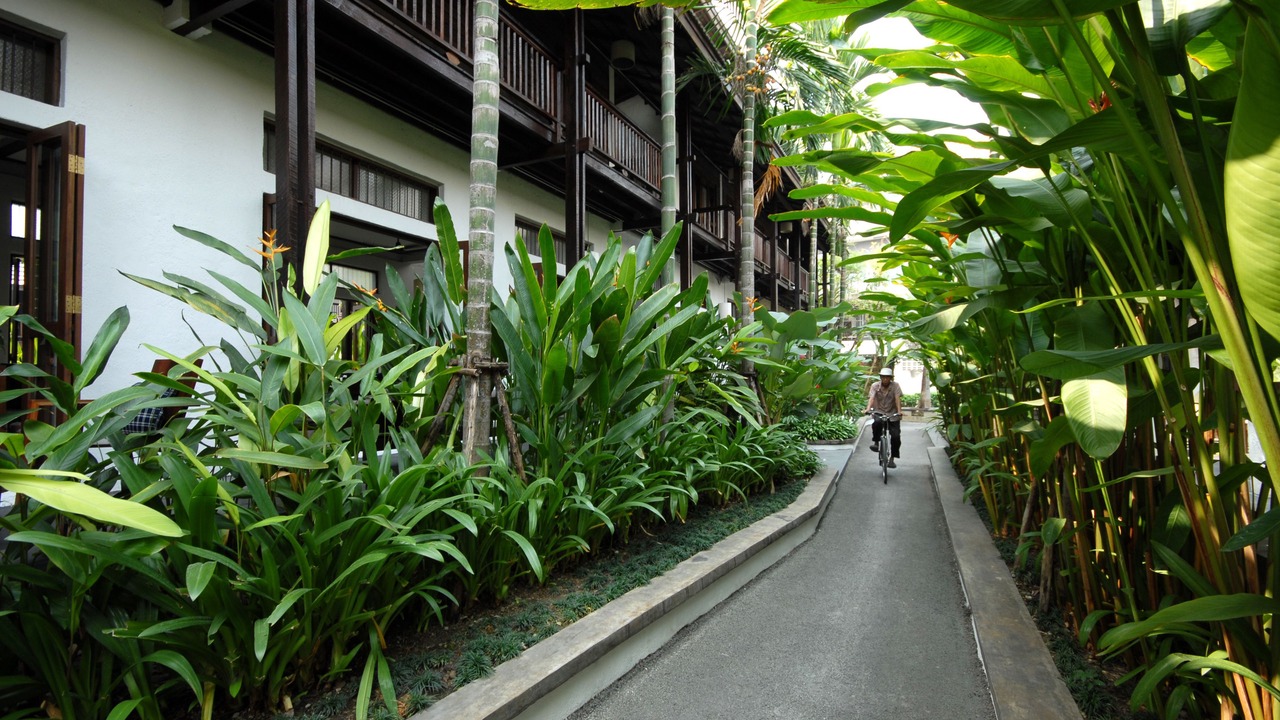 Photo of Outdoor in Thapae