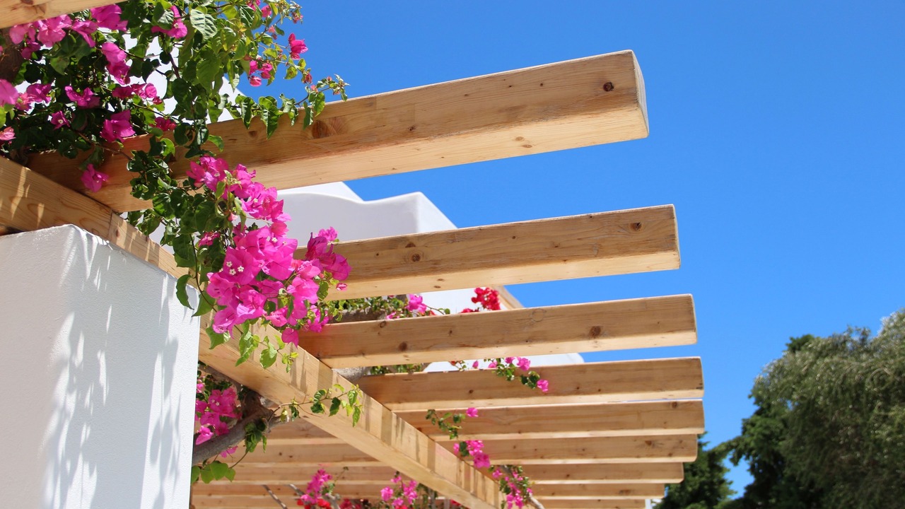 Photo of Outdoor in Kamari