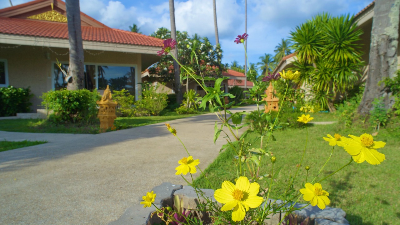 Photo of Outdoor in Na Thon