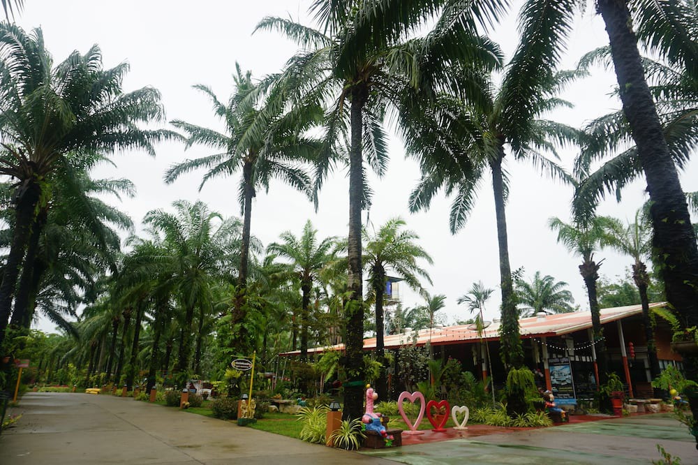 Photo of Outdoor in Mai Fat