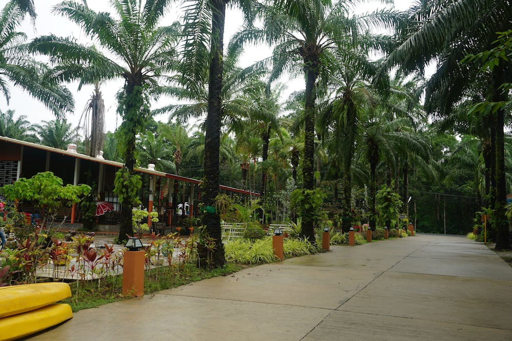 Photo of Outdoor in Mai Fat