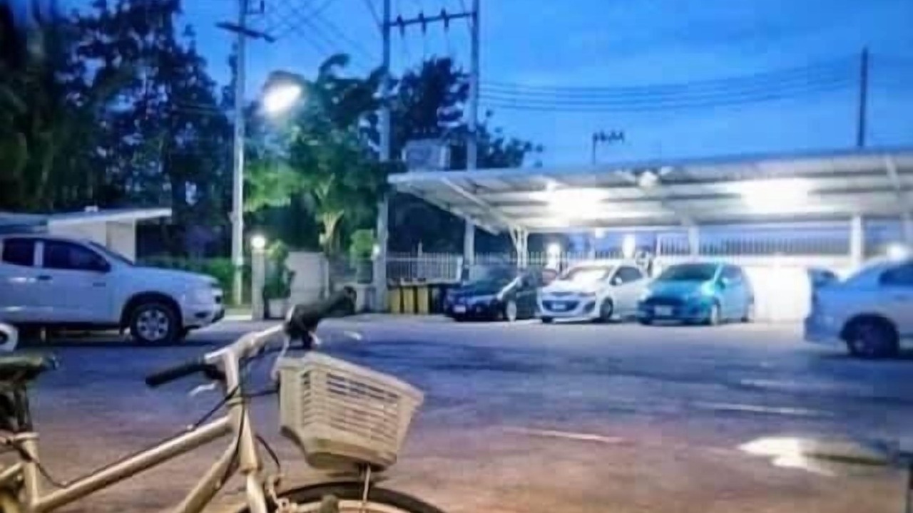 Photo of Outdoor in Khao Khan Song