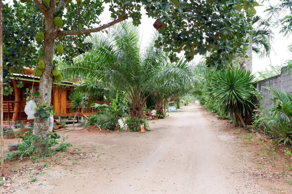 Photo of Outdoor in Don Sak