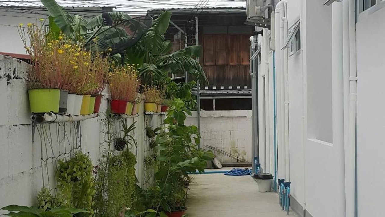 Photo of Outdoor in Nai Mueang