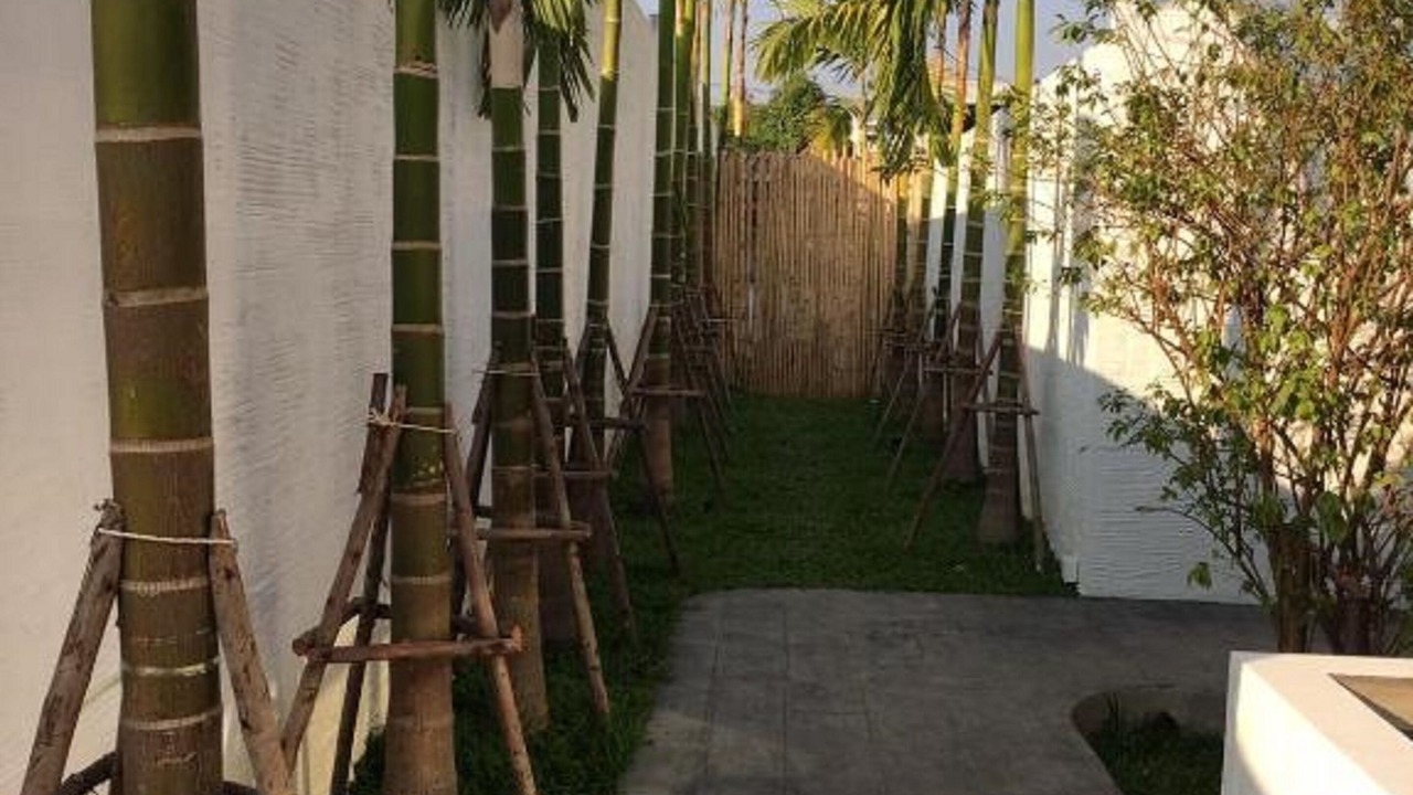 Photo of Outdoor in Sri Phum