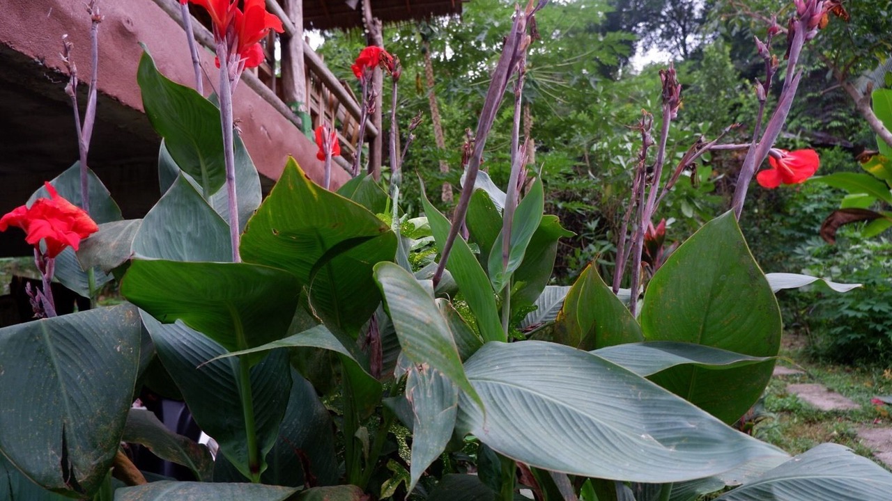Photo of Outdoor in Ranong
