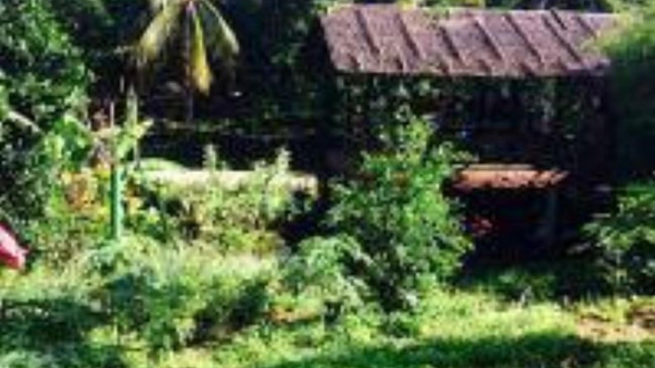 Photo of Outdoor in Ranong