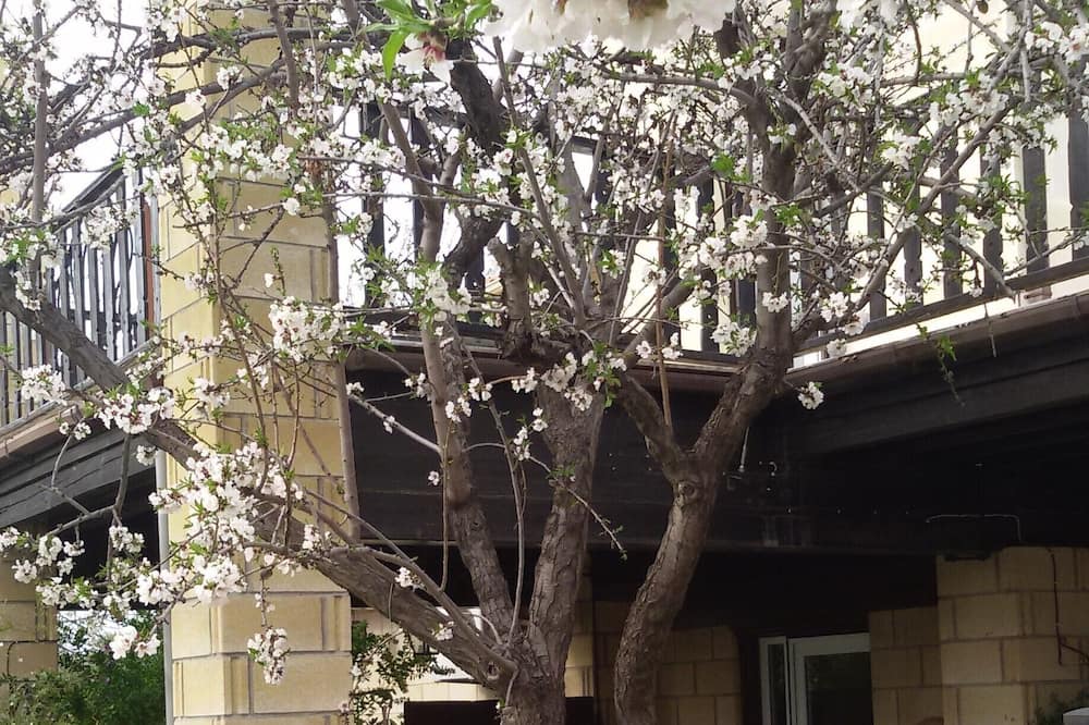 Photo of Outdoor in Pera Chorio