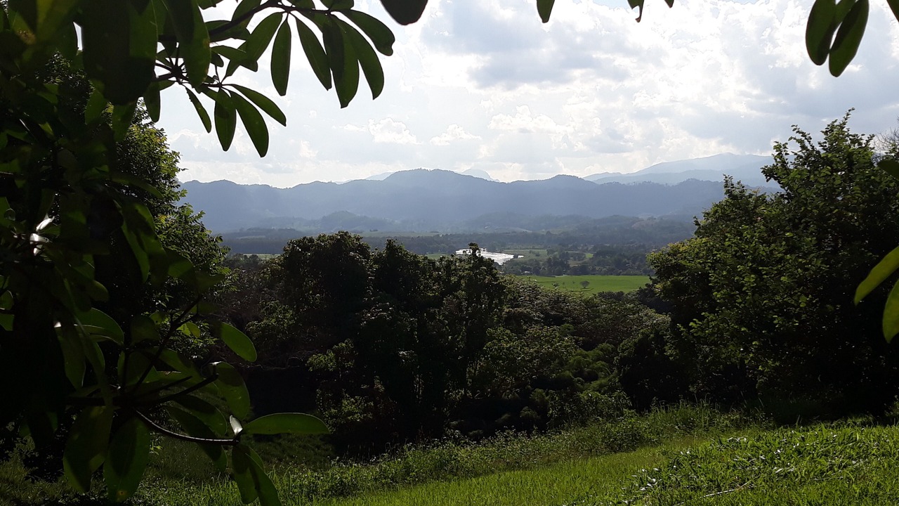 Photo of Outdoor in Chiang Rai