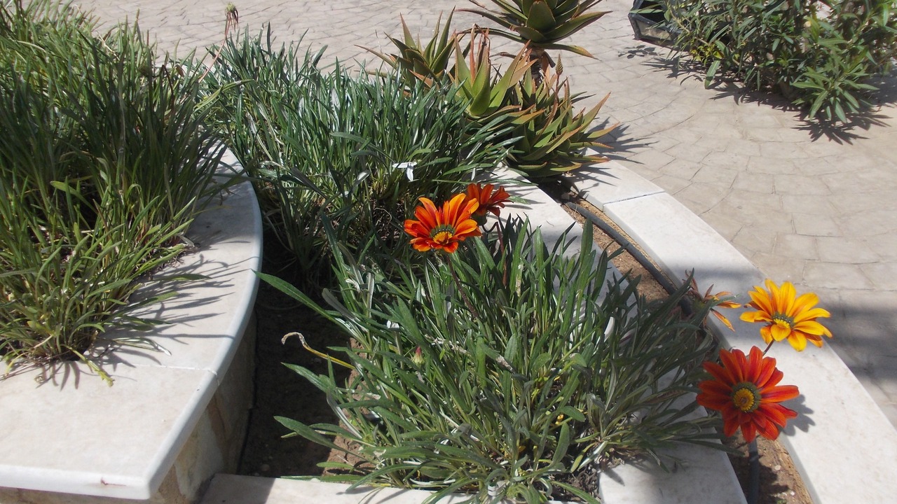 Photo of Outdoor in Kalogria
