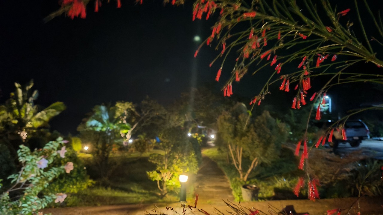 Photo of Outdoor in Ko Yao