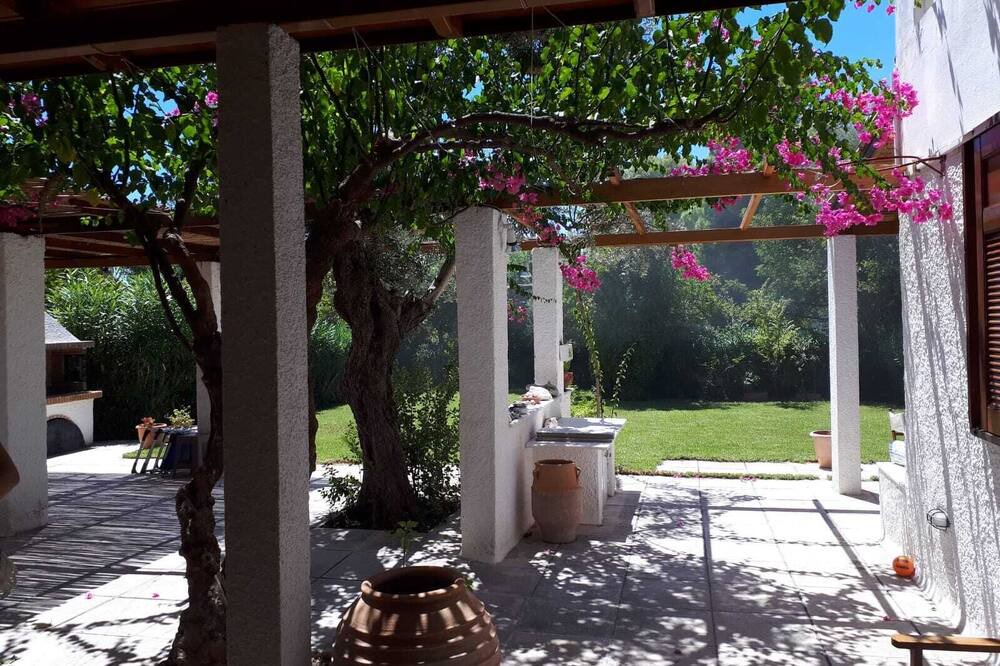 Photo of Outdoor in Plepi