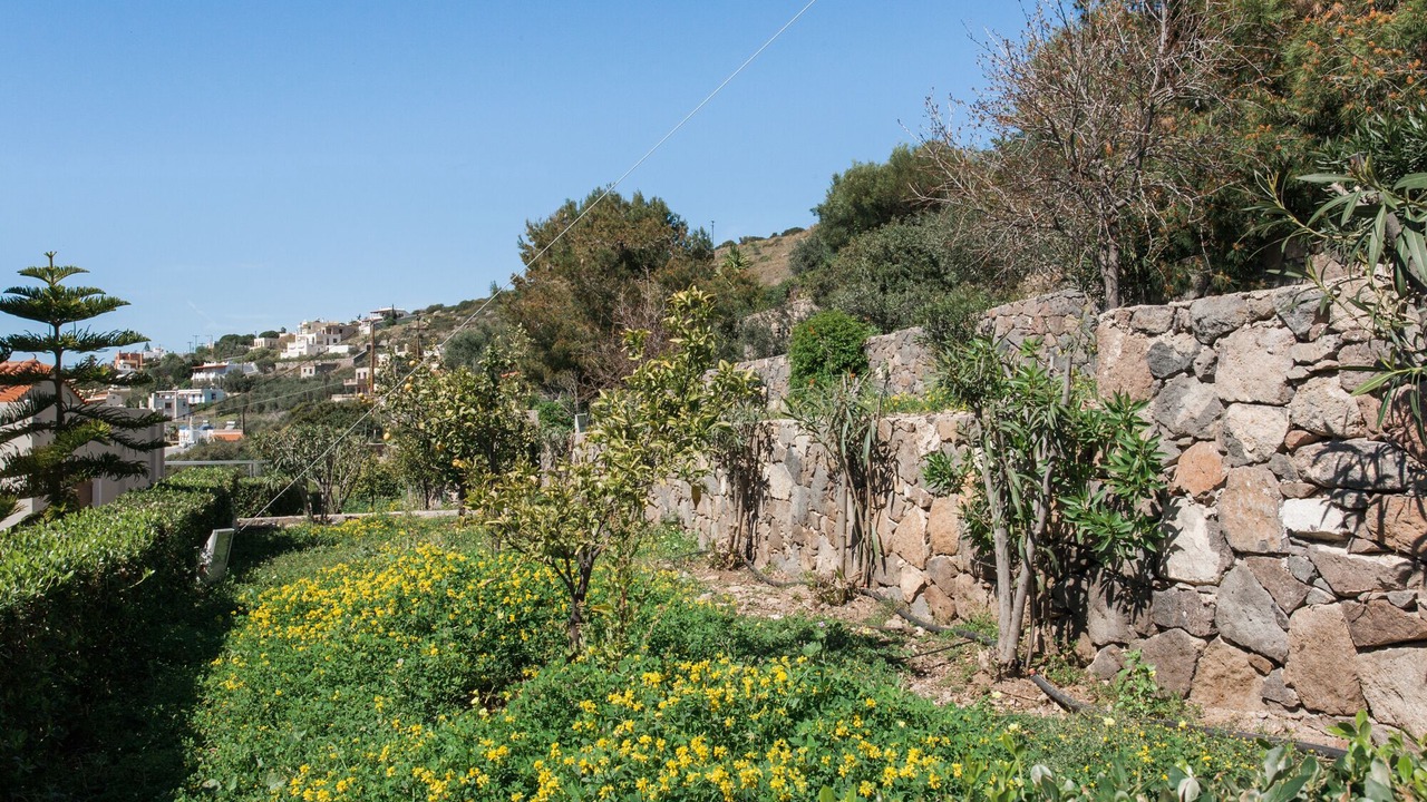 Photo of Outdoor in Aegina