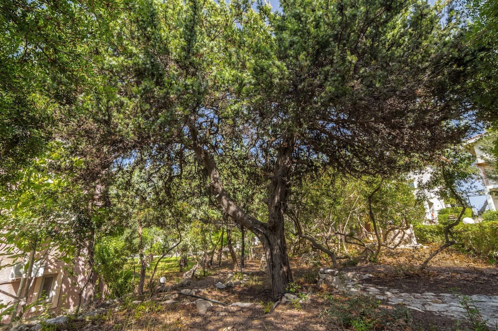 Photo of Outdoor in Mastichari