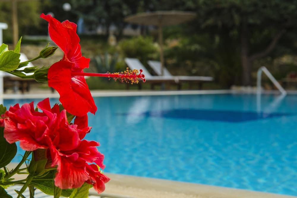 Photo of Outdoor in Mastichari