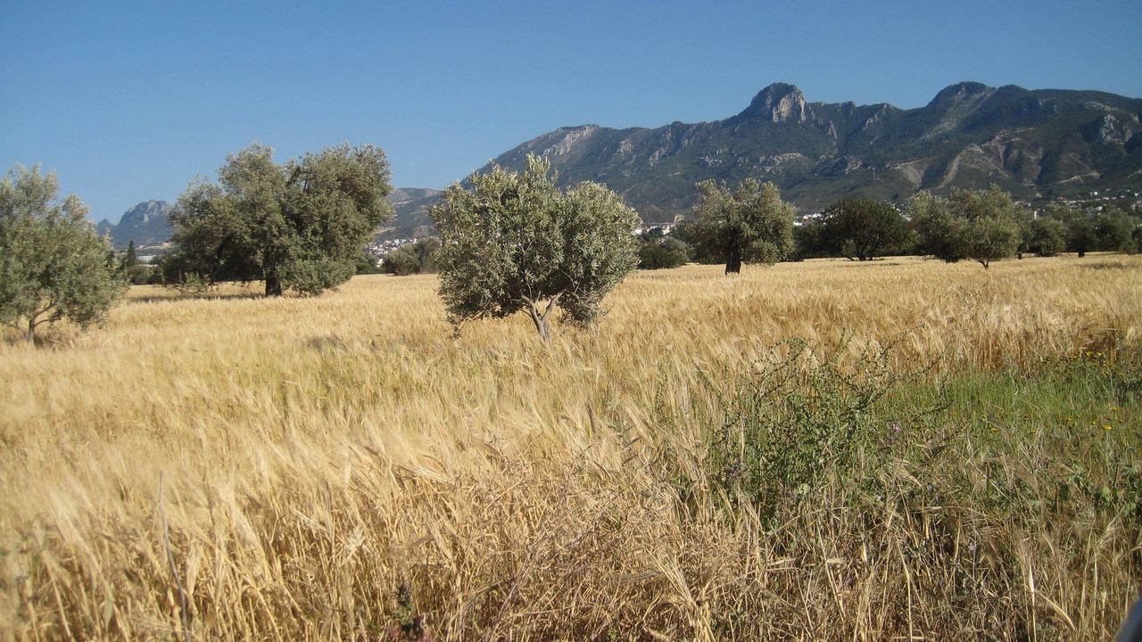 Photo of Outdoor in Catalkoy