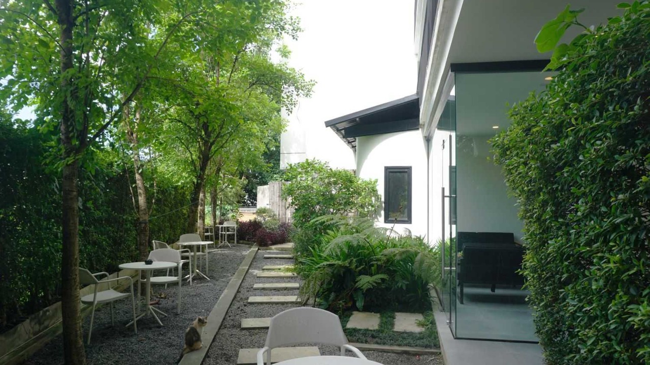 Photo of Outdoor in Chang Phueak