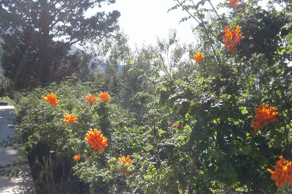 Photo of Outdoor in Ilgaz