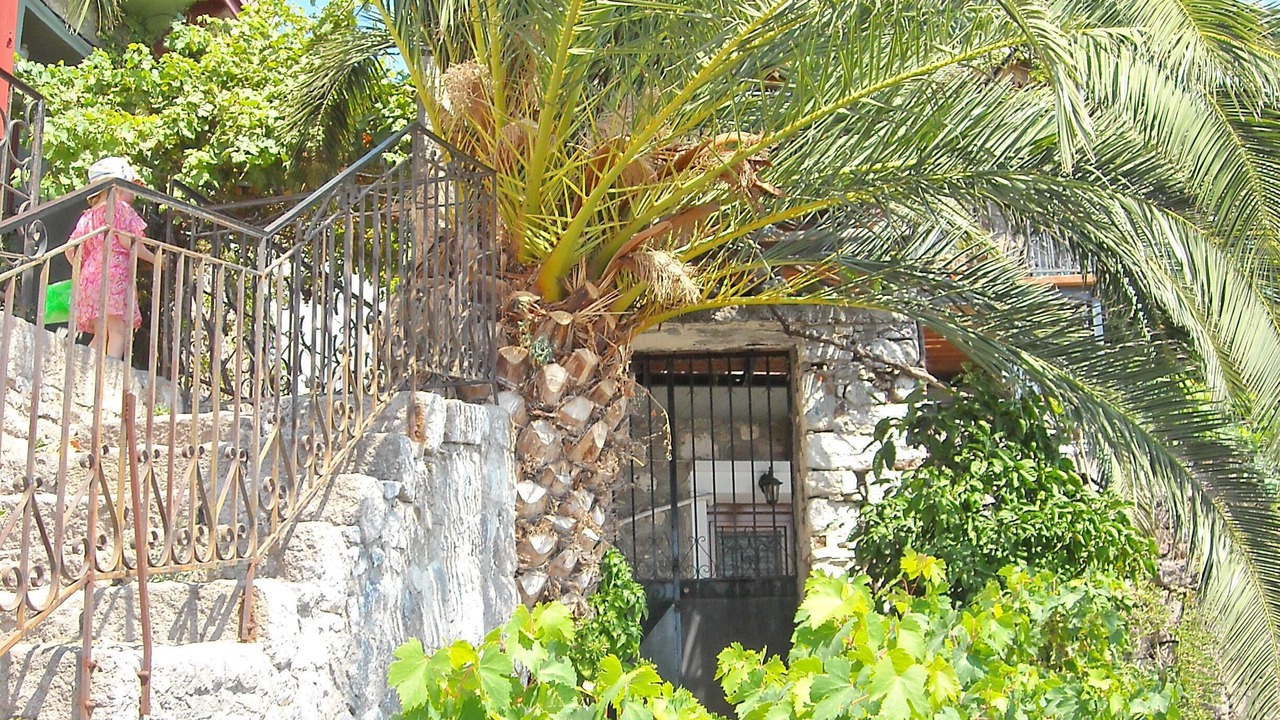 Photo of Outdoor in Mithimna