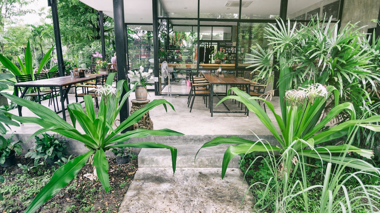 Photo of Outdoor in Rim Nuea