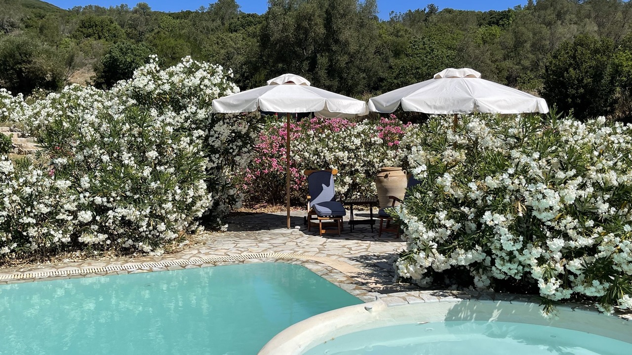 Photo of Outdoor in Skinaria