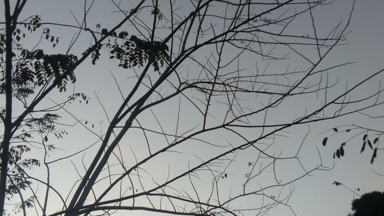 Photo of Outdoor in Pa Phayom