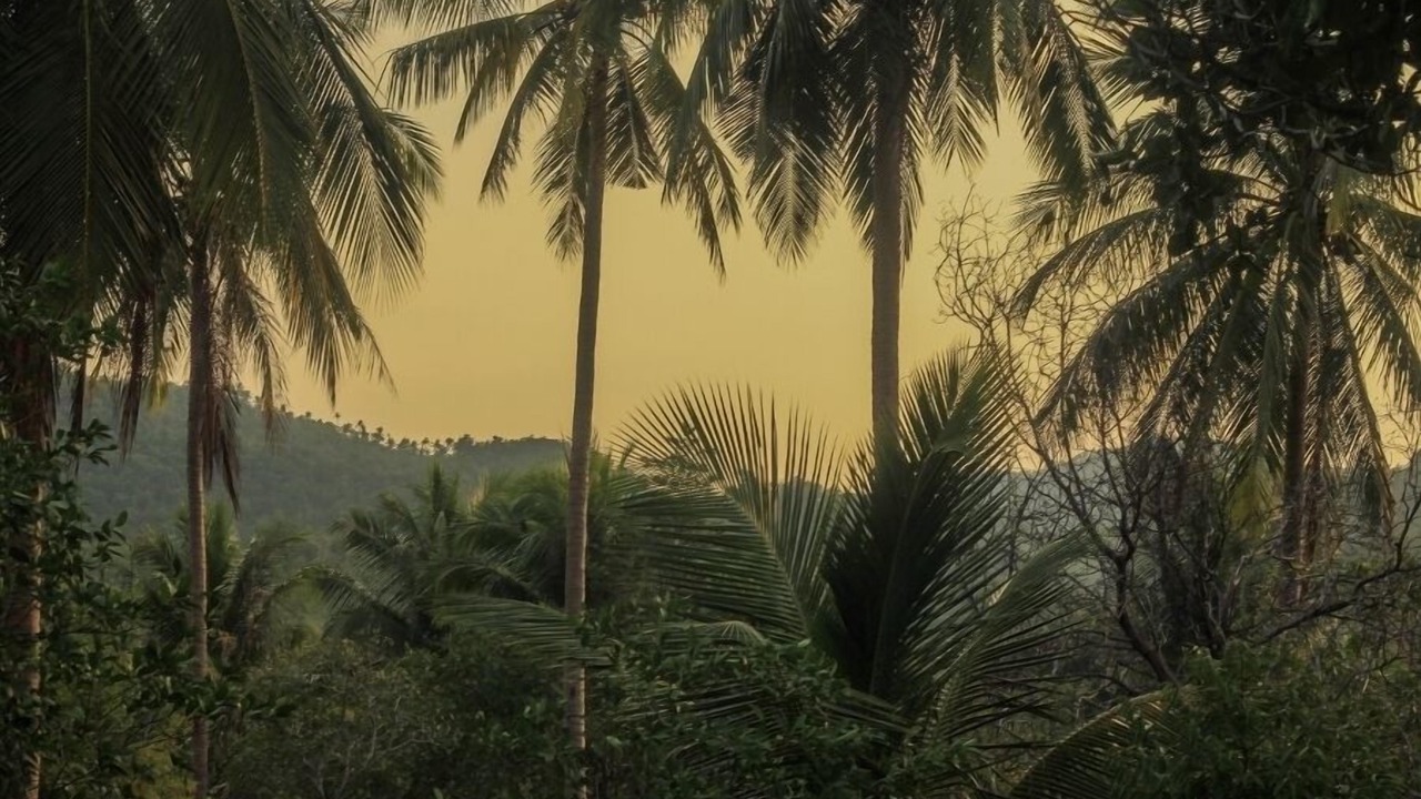 Photo of Outdoor in Ko Pha-ngan