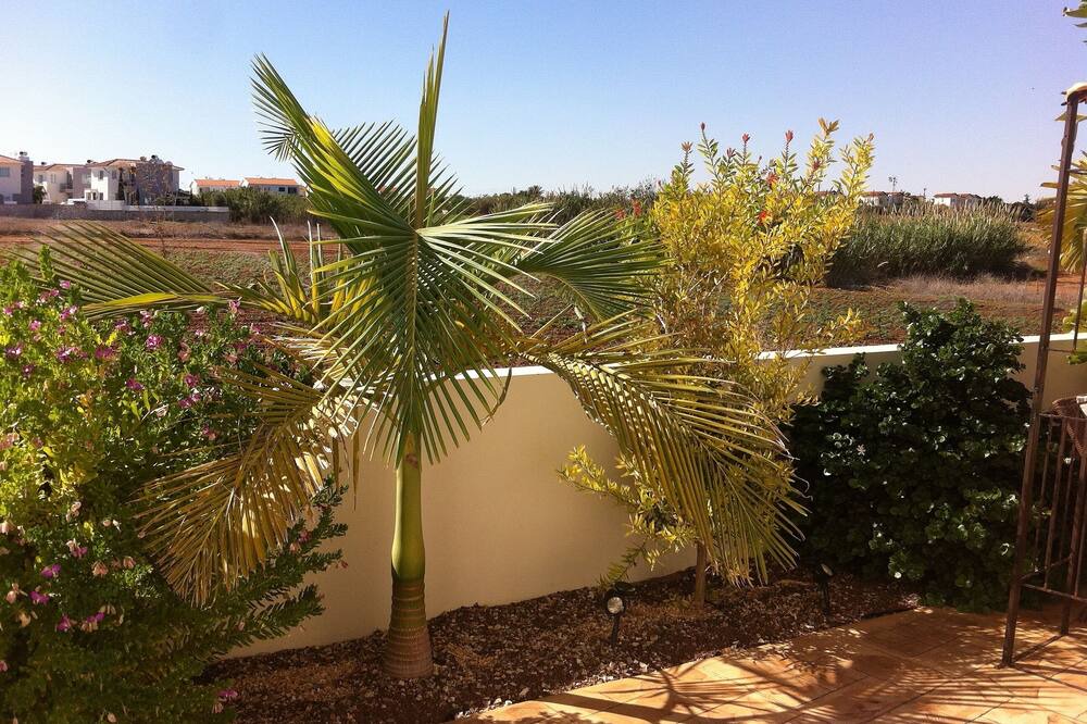 Photo of Others in Paralimni