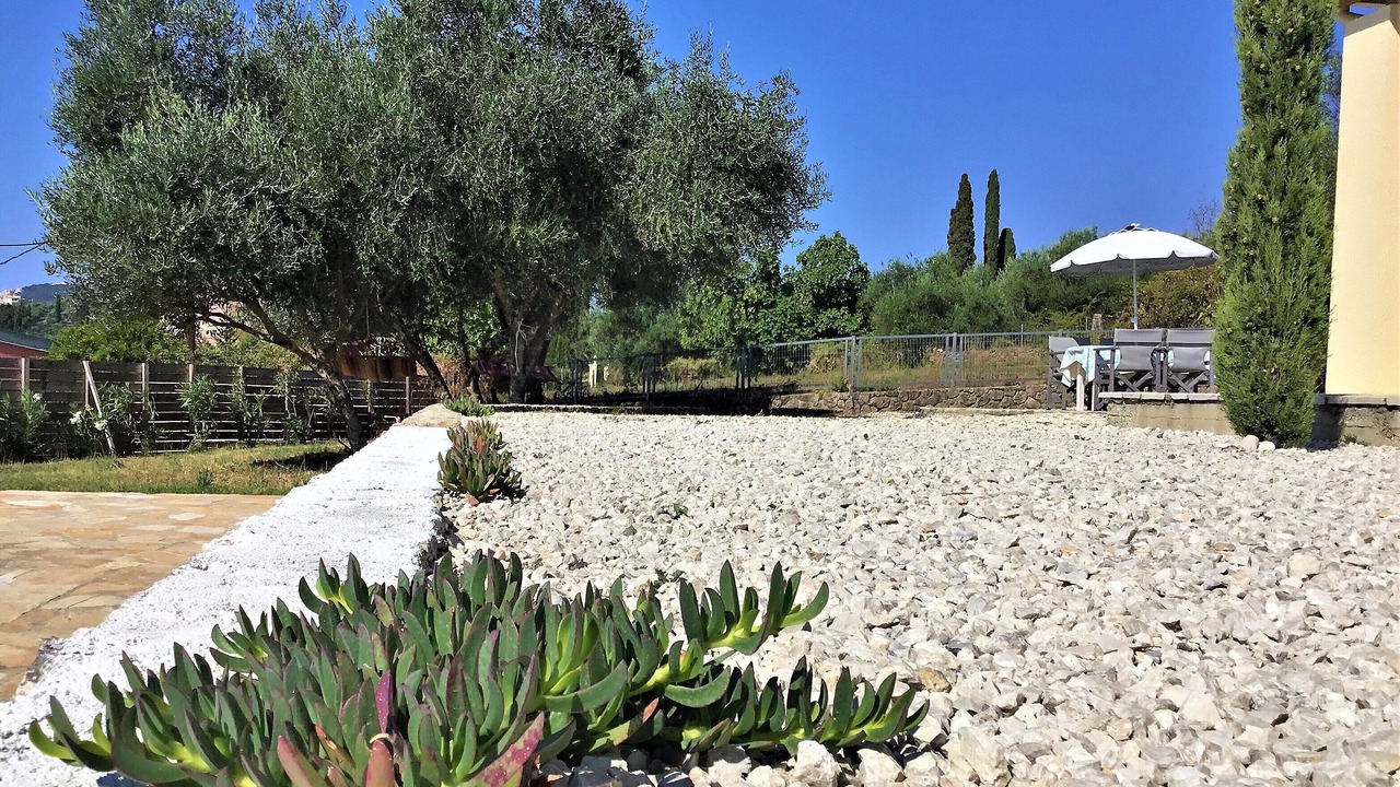 Photo of Outdoor in Afra