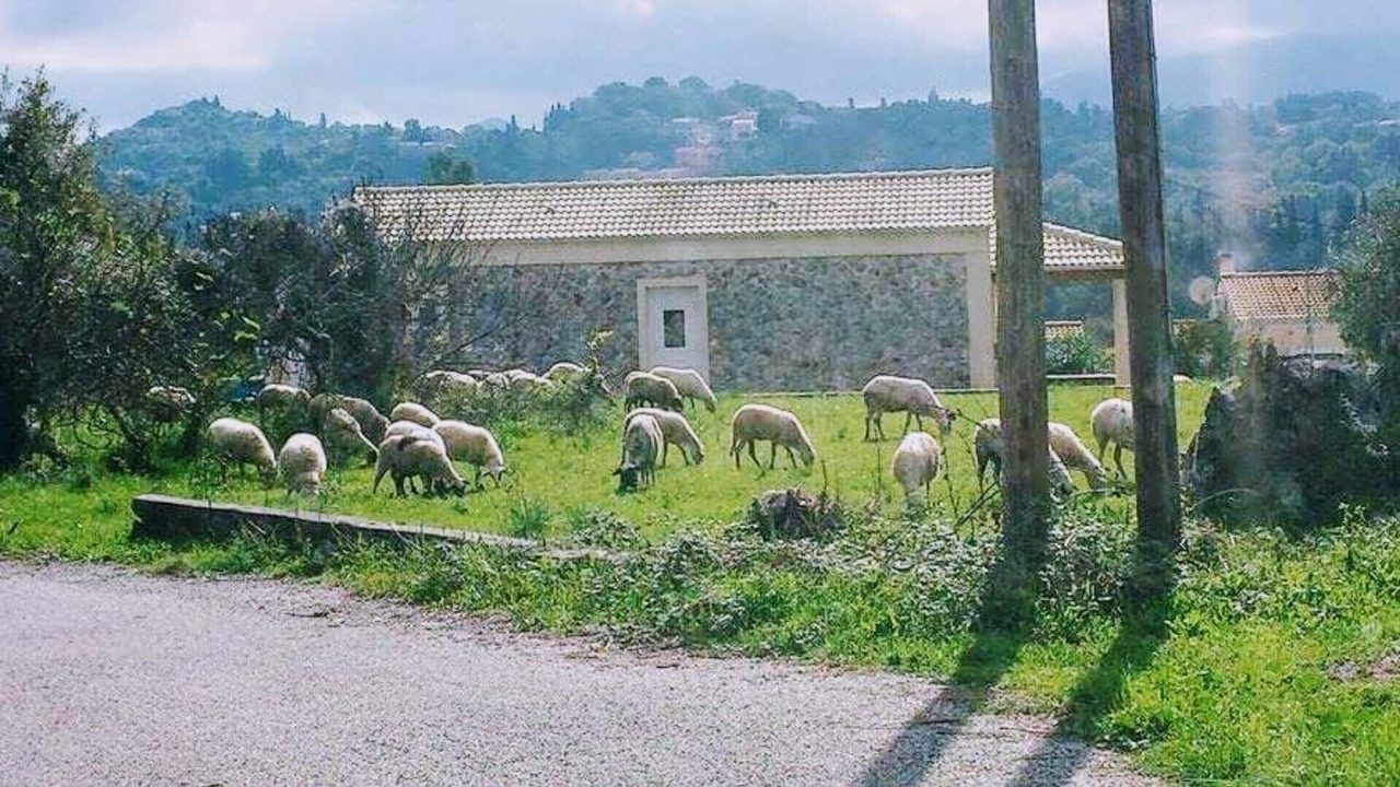 Photo of Outdoor in Afra