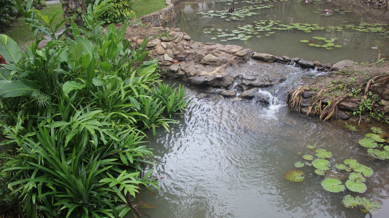 Photo of Outdoor in Hang Dong