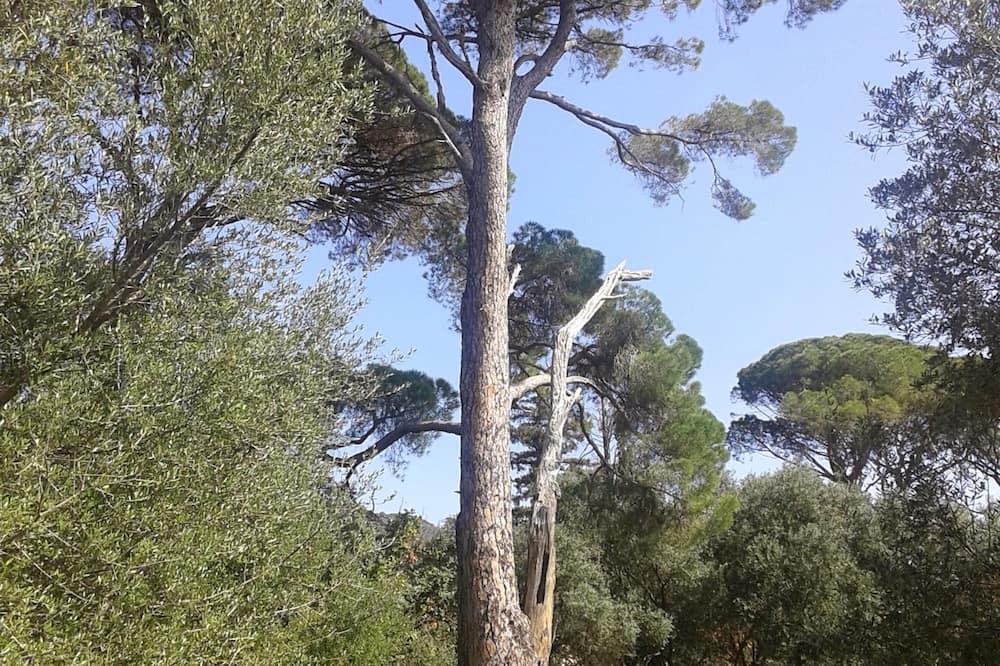 Photo of Outdoor in Razata