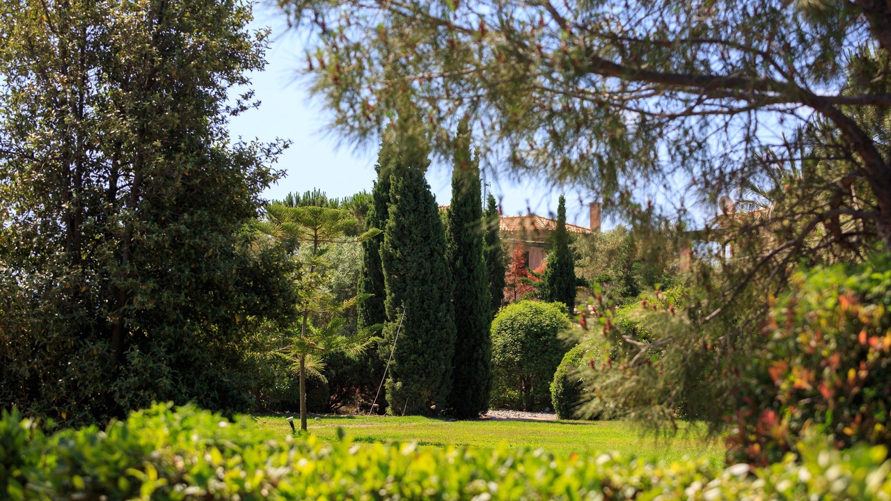 Photo of Outdoor in Plepi