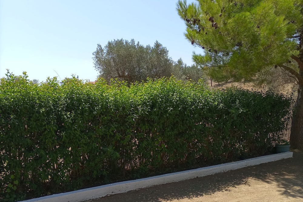 Photo of Others in Eretria