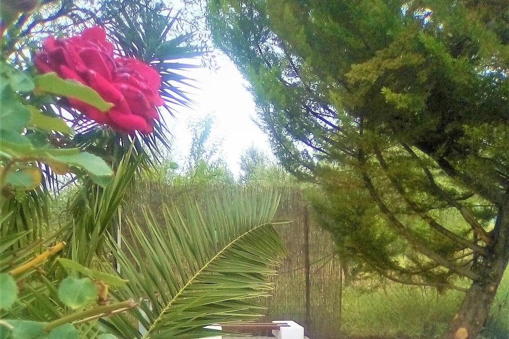 Photo of Outdoor in Eretria