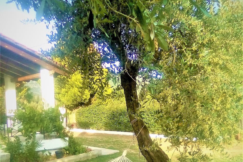 Photo of Outdoor in Eretria
