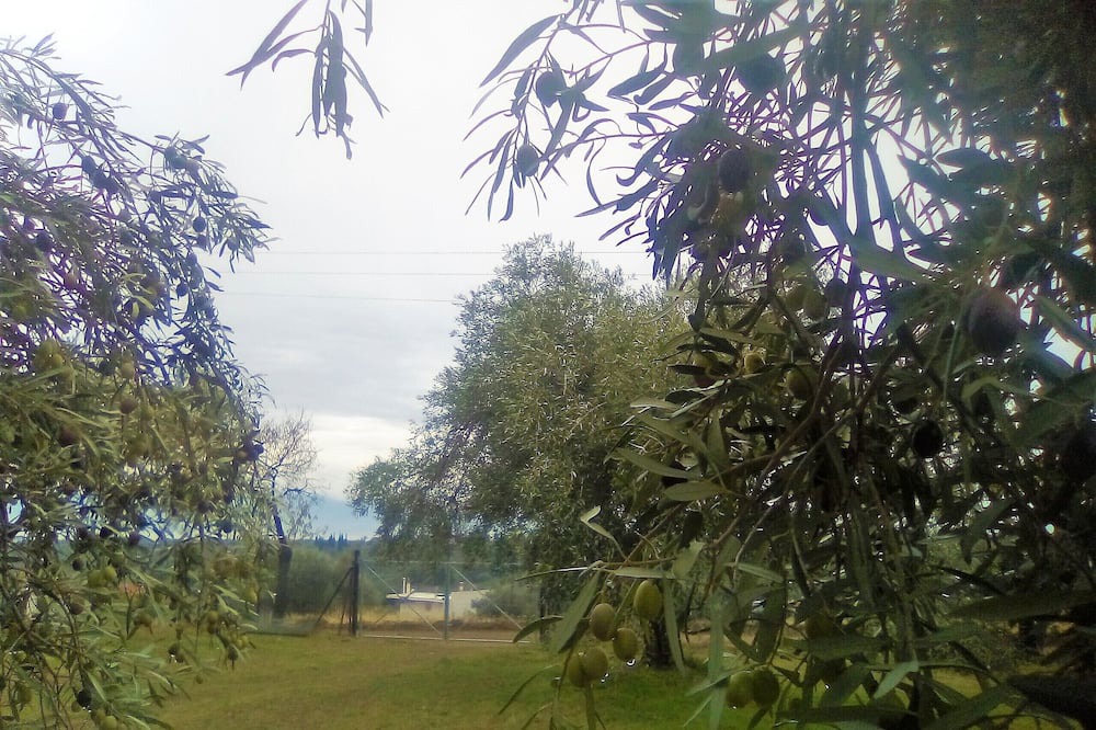 Photo of Outdoor in Eretria