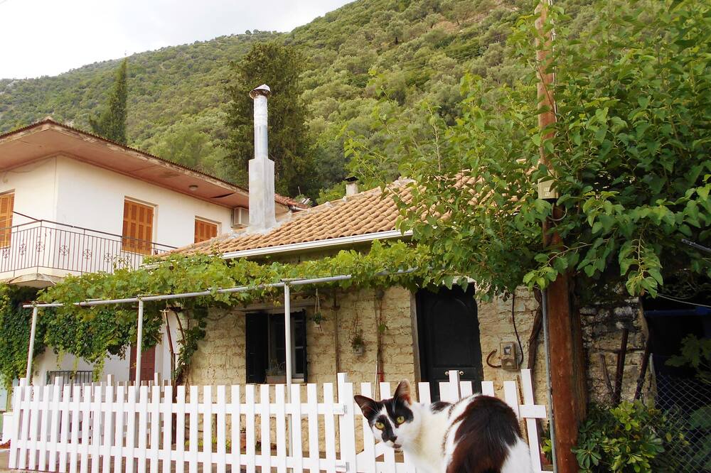Photo of Others in Vlicho